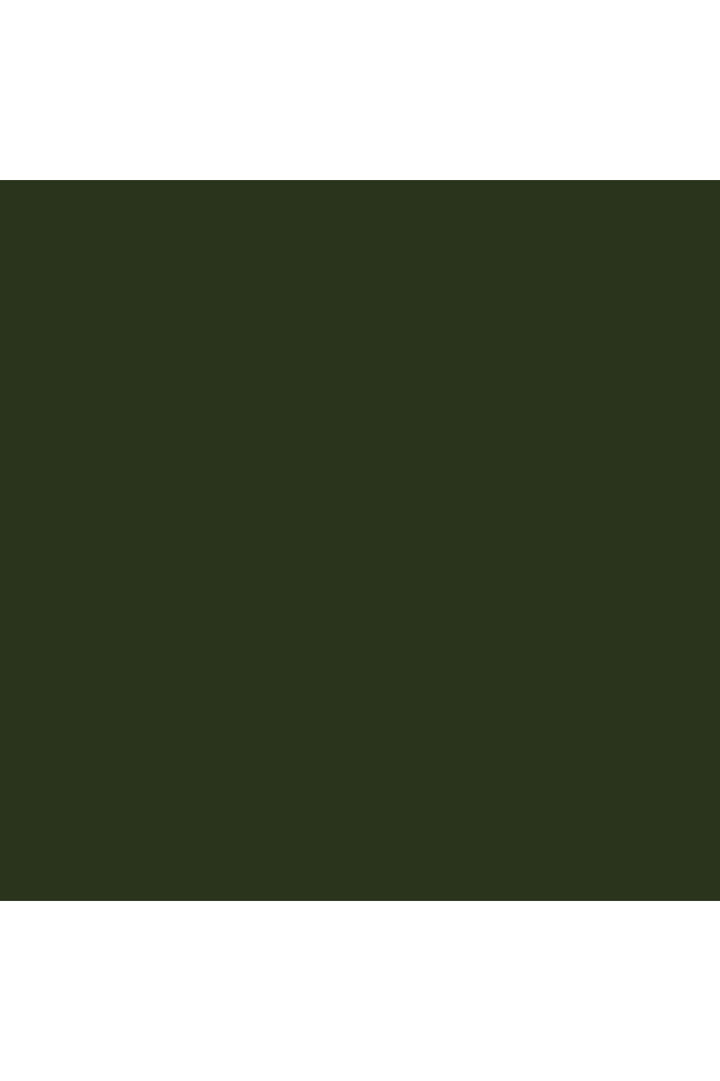 Little-Greene-Dark Bronze Green™-shopquadrifoglio
