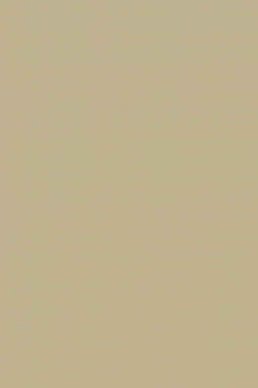 Little-Greene-Roman Plaster™-shopquadrifoglio