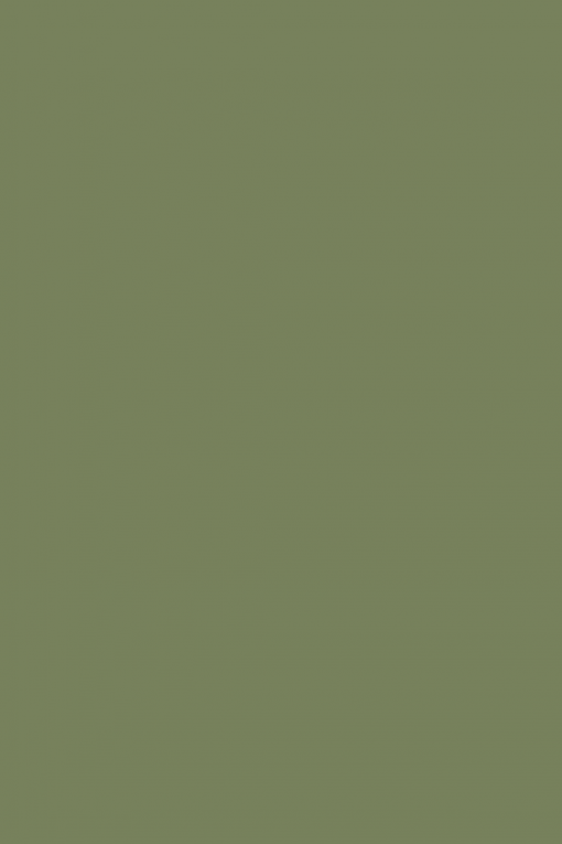 Little-Greene-Sage Green™-shopquadrifoglio