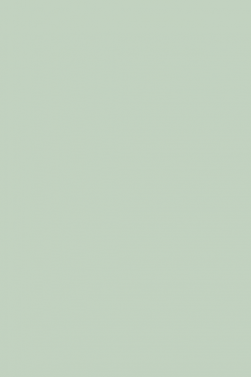 Little-Greene-Salix™-shopquadrifoglio