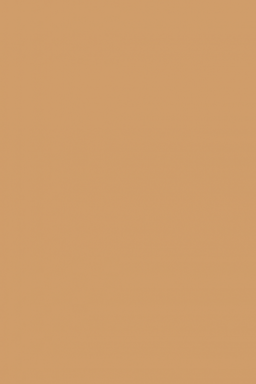 Little-Greene-Terra di Sienna™-shopquadrifoglio