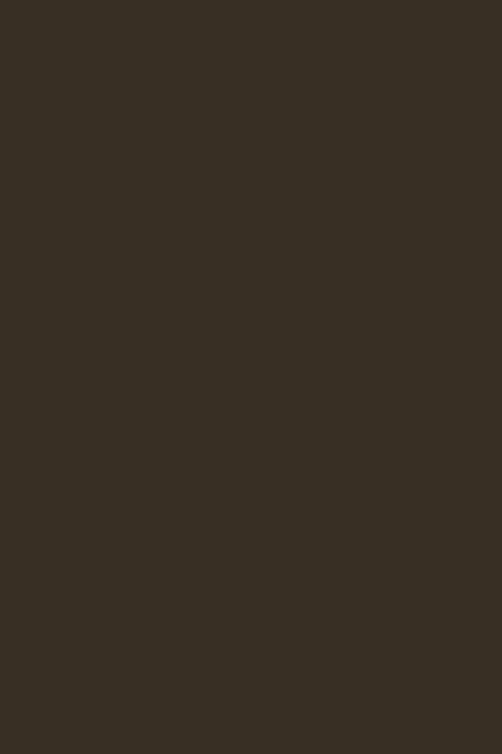 Little-Greene-Toad™-shopquadrifoglio